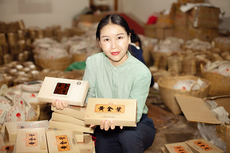 普洱茶中的“黃金葉”，您喝過嗎？